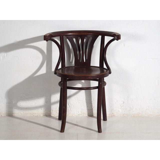 Chairs with Armrests from Thonet, 1920s, Set of 4 For Sale - Image 17 of 18