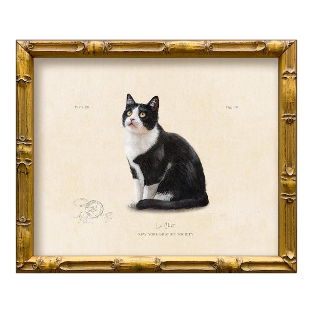 Reproduction Art Print of Vintage “Le Chat" Illustration (Cat 4), Framed For Sale