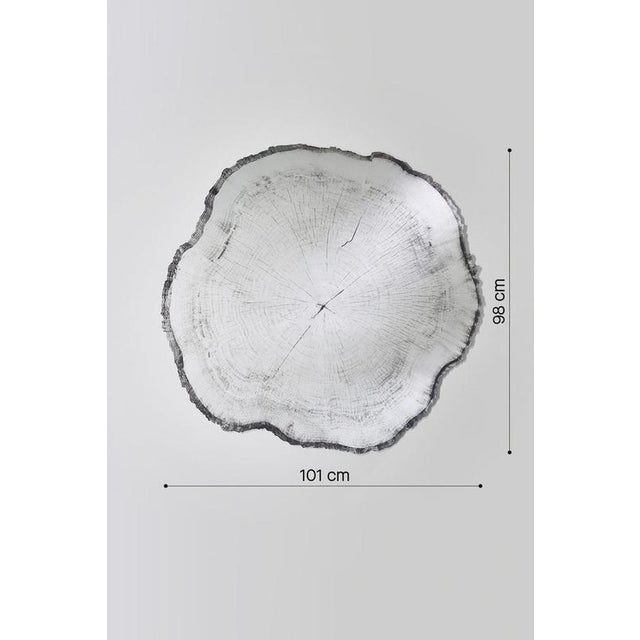 Arbo Dark Wood Edge Mirror L from Deknudt Mirrors For Sale - Image 14 of 15