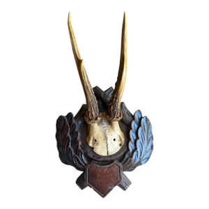 Roe Deer Trophy 171 Black Forest Antlers