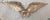 Metal Very Heavy Vintage Solid Bronze Wall Mount American Bald Eagle Bird Brass Statue For Sale - Image 7 of 7