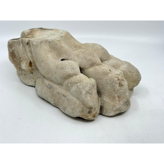 White Antique Classical Marble Stone Fragment Lions Claw For Sale - Image 8 of 16