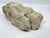 White Antique Classical Marble Stone Fragment Lions Claw For Sale - Image 8 of 16