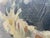 Charles Swyncop, Floral Still Life, 1920s, Oil on Canvas For Sale - Image 4 of 18