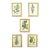 Set of 5 Antique Botanical Prints Framed Floral Flowers For Sale
