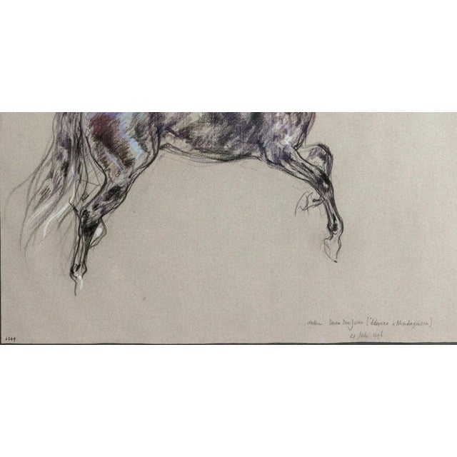 Horse Pastel by Leslie Charlotte Benenson, Stallion Dans Don Juan, Dated July 21, 1996 For Sale - Image 4 of 6