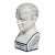 Vintage Style Porcelain Phrenology Head by l.n. Fowler / Ludgate Circus, London England For Sale
