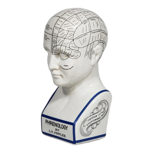 Vintage Style Porcelain Phrenology Head by l.n. Fowler / Ludgate Circus, London England