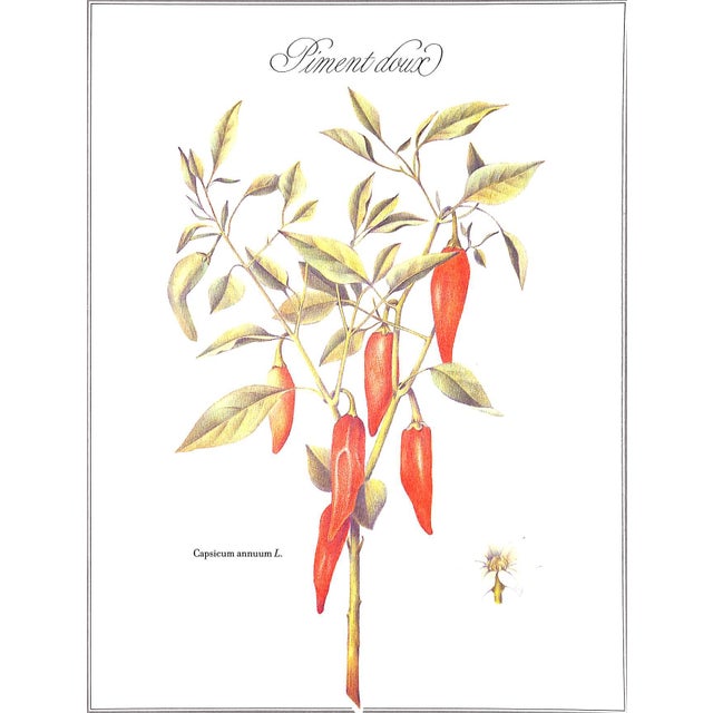 Traditional "Un Jardin Pour La Peau" 1986 Delaveau, Pierre/ Clair, Genevieve For Sale - Image 3 of 11