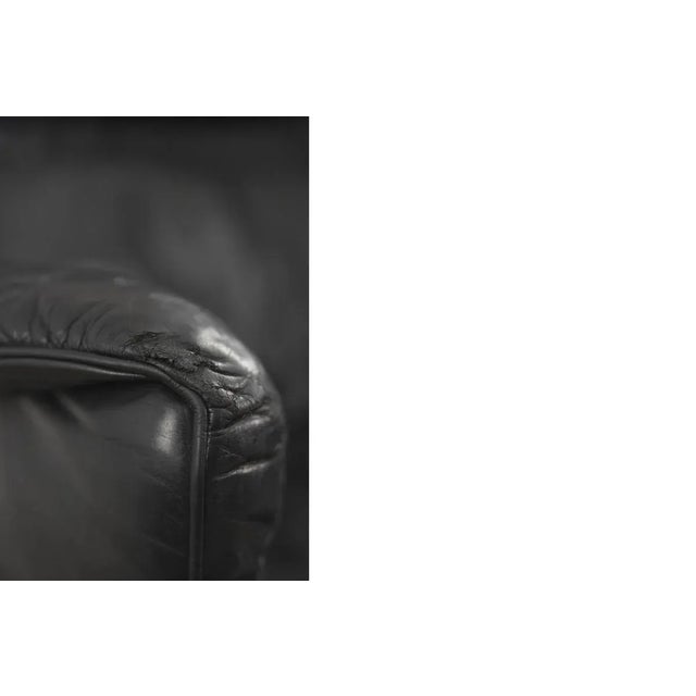 Leather DS-23 Wing Chair by Franz Josef Schulte for de Sede, 1980s For Sale - Image 18 of 18