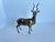 Vintage Mid-Century Modern Brass Antelope / Gazelle Figurine For Sale - Image 4 of 14