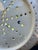 Dr. Wall Worcester Porcelain 18th Century First Period Worcester Porcelain "Pine Cone" Cress Strainer Set For Sale - Image 4 of 16