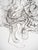 Hans Bellmer, Fantastic Creature, 20th Century, Original Etching For Sale - Image 5 of 7