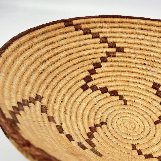 Early 20th Century Early 20th Century Botswana Basket 15inch MATTER COLLECTION For Sale - Image 5 of 6