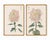 Whispering Petals Diptych – Vintage Japanese Botanical Prints (Set of 2), 24" X 36" For Sale - Image 4 of 8