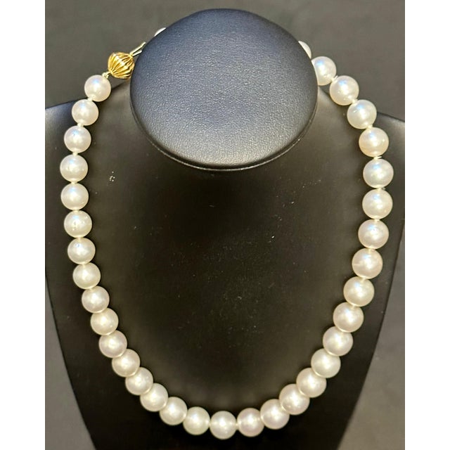Metal Graduating White South Sea Pearls 9-12mm Strand Necklace 14 Kt Yellow Gold Clasp For Sale - Image 7 of 18
