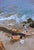 Shades and Skis by Toni Frissell Sunbathers conversate by the coastline of Capri, 1954. (Photo by Toni Frissell) 16x12"...