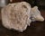 Mid-Century French Weathered Stone Garden Sculpture of Fox With Two Pups For Sale - Image 9 of 9