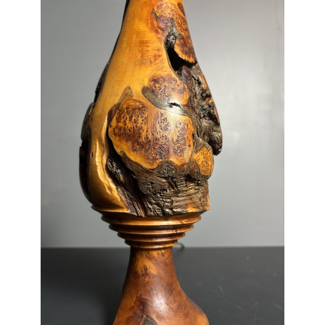 Mid-Century Brutalist Sculptural Table Lamp in Burl Wood, France, 1960s For Sale - Image 13 of 14