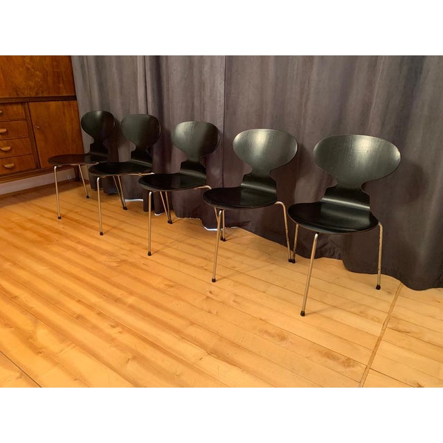 1960s Model 3100 Chairs by Arne Jacobsen, Fritz Hansen, Denmark, 1963, Set of 5 For Sale - Image 5 of 18
