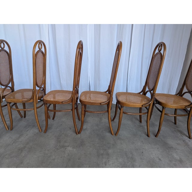 Mid-Century Bentwood Cane Dining Chair, Yugoslavia, 1970s, Set of 6 For Sale - Image 16 of 18