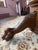 Antique Oak Pedestal Table With Clawfeet For Sale - Image 11 of 14