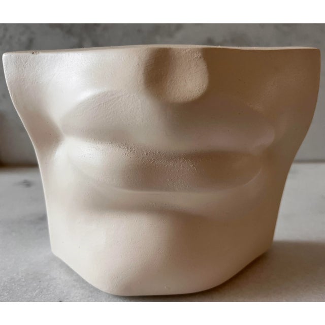 Renaissance Vintage Italian Renaissance Michelangelo's "David" Plaster Mouth For Sale - Image 3 of 8