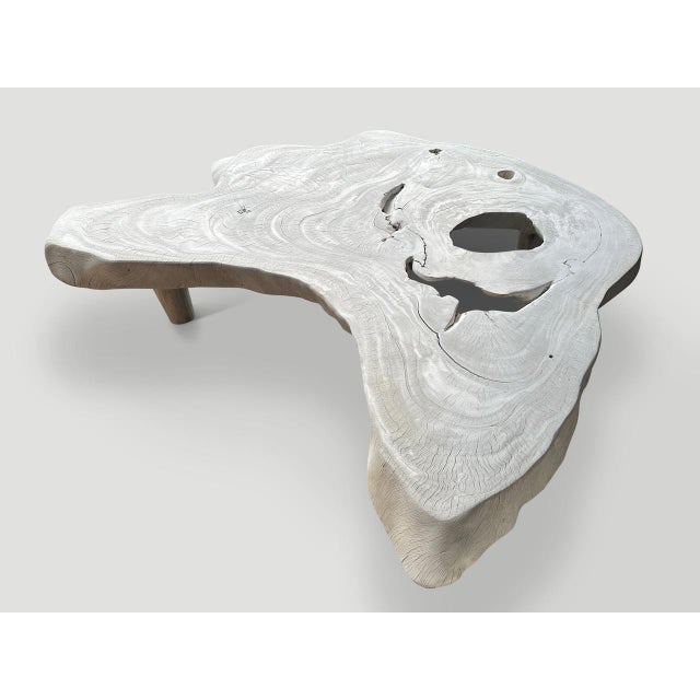 2010s Andrianna Shamaris Amorphous Mid Century Style Bleached Coffee Table For Sale - Image 5 of 6