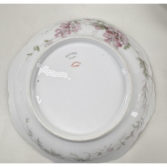 Haviland & Co. Antique Haviland & Elite Works Limoges Mixed Floral Collection - 12-Piece For Sale - Image 4 of 14