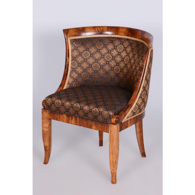 Biedermeier Walnut Armchair, Vienna, Austria, 1820s For Sale - Image 11 of 11