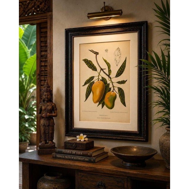 Paper Hoola van Nooten, Mango Botanical, 1880, Chromolithograph For Sale - Image 7 of 9