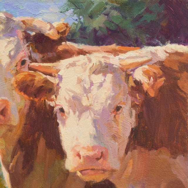 'A Curious Pair' by Mary Beth Schwark, New Mexico Woman Artist, Oil Painters of America, Michigan For Sale In Monterey, CA - Image 6 of 8