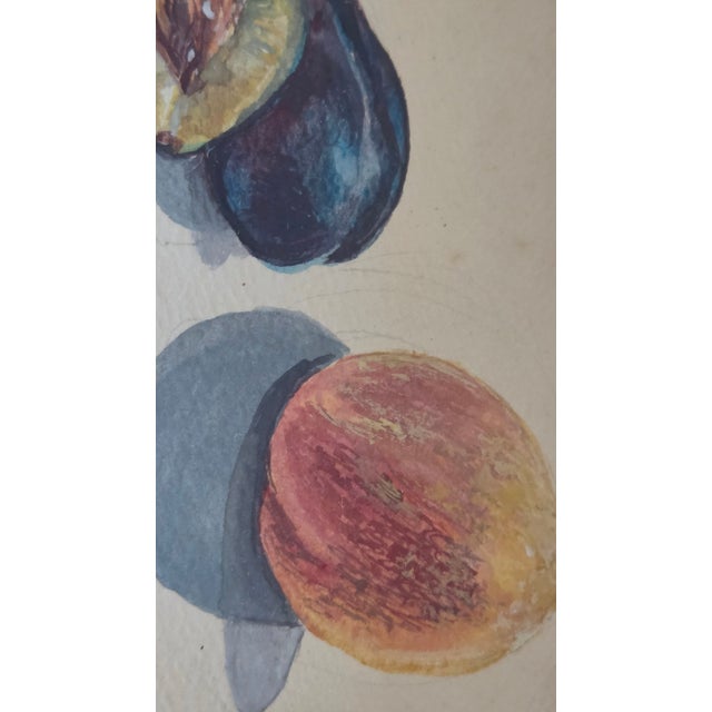 Vintage Fruit Still-Life Art in Black and Gold Wood Frames — A Pair For Sale - Image 15 of 18