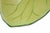 Chartreuse Vietri Water Garden 3 Section Relish Tray For Sale - Image 8 of 8