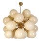 Shop Dlight Chandelier and Decor