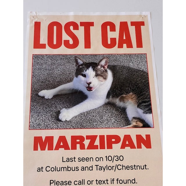21st Century "Lost Marzipan" Outsider Street Art of San Francisco Nobody Likes a "Lost Marzipan" but Everybody Loves this...