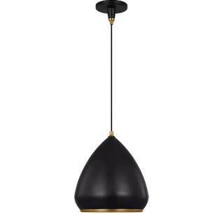 Thomas O'Brien By Visual Comfort Studio Clasica Casual 1-Light Medium Pendant in Aged Iron For Sale
