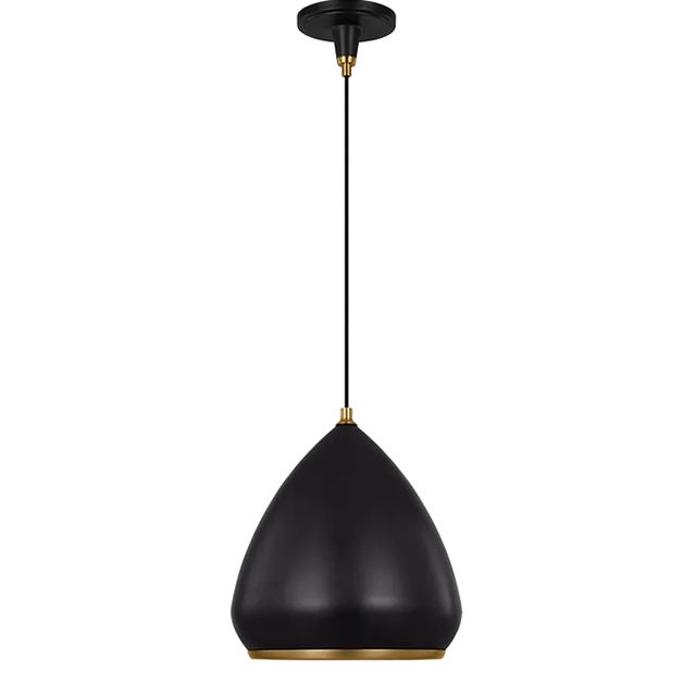 Thomas O'Brien By Visual Comfort Studio Clasica Casual 1-Light Medium Pendant in Aged Iron For Sale