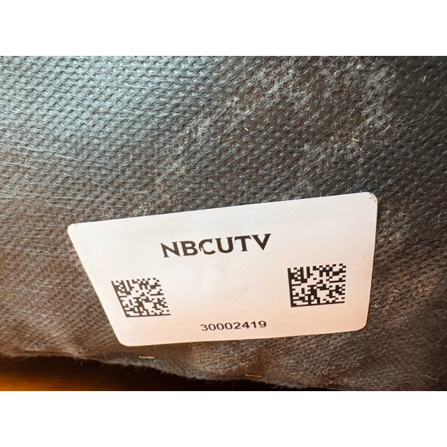 Victorian Verified NBCUniversal Television Hollywood Production Provenance, Late 19th Century Ebonized Hardwood Cane Armchair, Victorian Era Colonial Style For Sale - Image 3 of 12