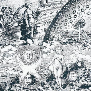 Schumacher X Johnson Hartig Modern Toile Fabric in Black For Sale