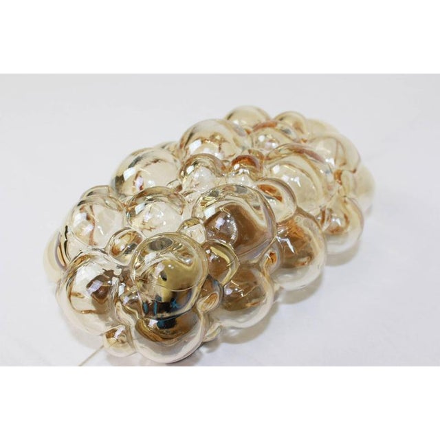 1960s Amber Bubble Glass Sconce by Helena Tynell for Limburg, Germany, 1960s For Sale - Image 5 of 16