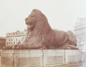 Antique 1880's Frith Photograph, London England Hyde Park Lion
