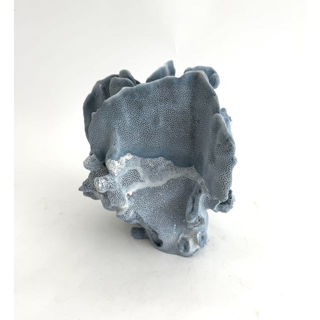 Late 20th Century Natural Blue Coral Specimen Coastal Decor For Sale - Image 5 of 6