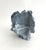 Late 20th Century Natural Blue Coral Specimen Coastal Decor For Sale - Image 5 of 6