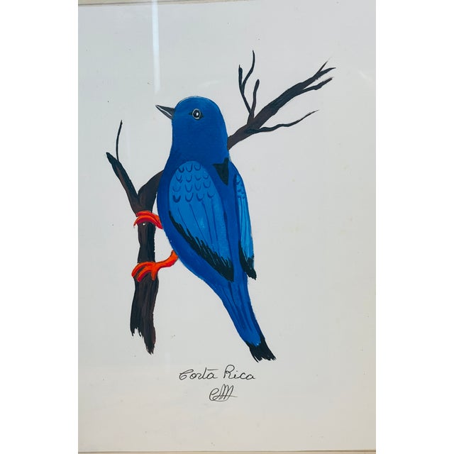 Contemporary 1960s Pair Costa Rica Birds Mixed Media on Paper For Sale - Image 3 of 5