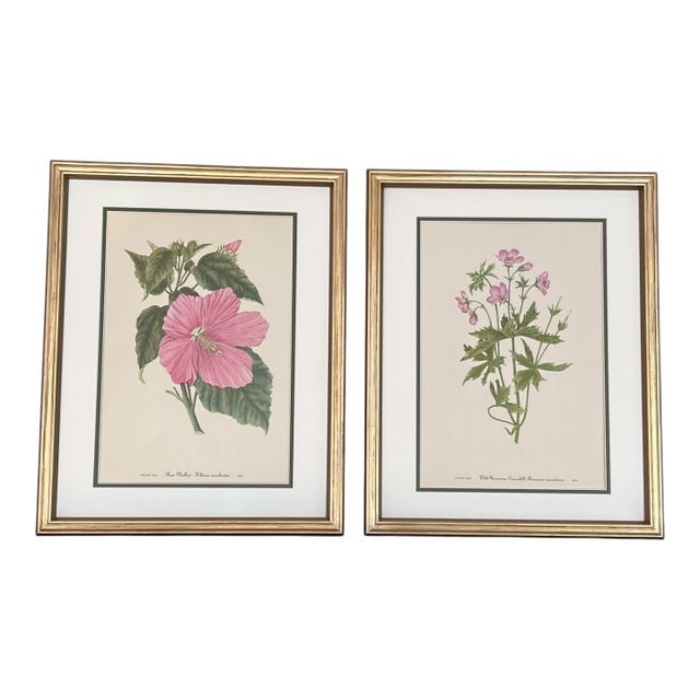Framed Vintage Botanical Set of 2- Authentic 1953 Prints For Sale