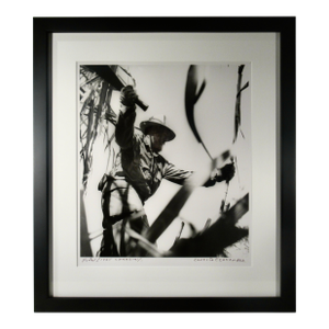 Ernesto Fernandez Nogueras Fidel C. (Fidel Castro Cutting Canes) 1968 Photography
