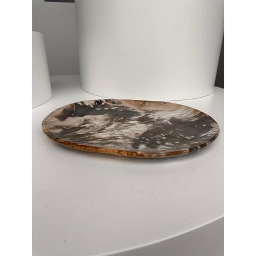 Very Large Vide-Poche or Dish in Petrified Wood For Sale - Image 15 of 18