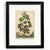 Beautifully presented in a black frame under glass, with broad white matting and a narrow black perimeter that visually...