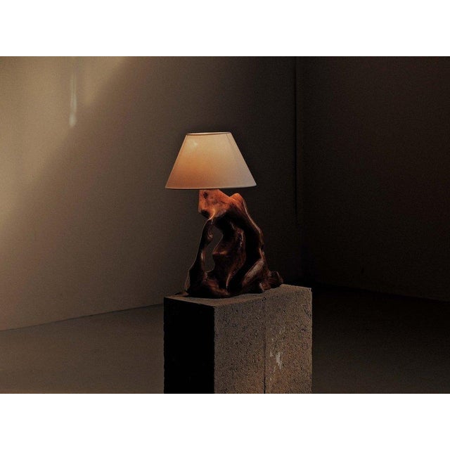 Sculptural Olive Wood Table Lamp, 1960 For Sale - Image 10 of 12
